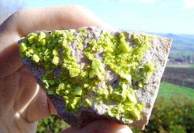 Autunite